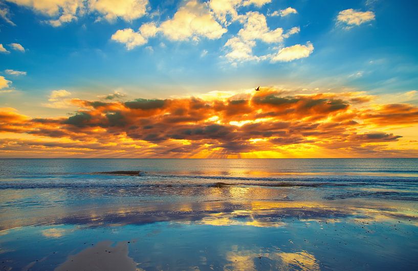 Sunset by Bo Valentino