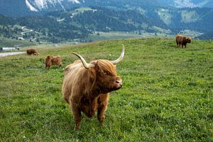 Dolomiten
