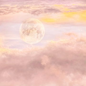 Dreamy Brutalisme. Roze atmosfeer. van Alie Ekkelenkamp