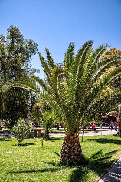 im Stadtpark von Thomas Riess