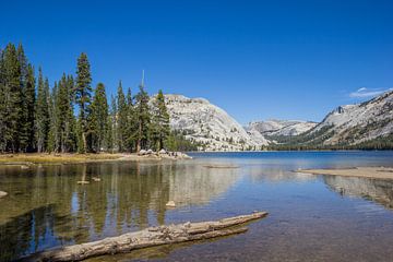 Montagne Lake Tenaya dans le parc national de Yosemite aux États-Unis d'Amérique