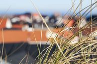 Door de duinen van Danny Tchi Photography thumbnail