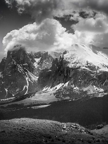 Seiser Alm met uitzicht op de Plattkofel (2.969 m), Zuid-Tirol