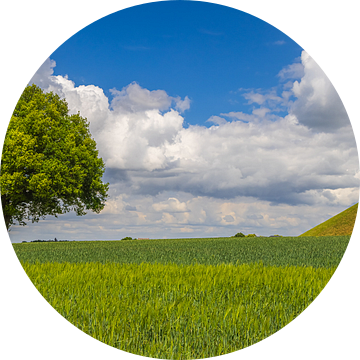 De Leeuw van Waterloo, Eigenbrakel, Waals-Brabant, België