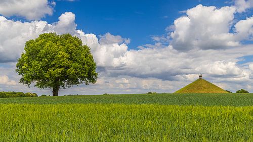 The Lion of Waterloo, Braine-l'Alleud, Walloon Brabant, Belgium