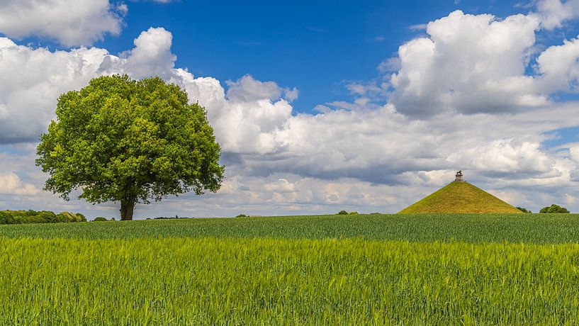 The Lion of Waterloo, Braine-l'Alleud, Walloon Brabant, Belgium by Henk Meijer Photography