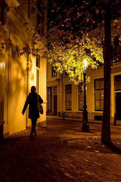 Autumn Nights - Utrecht van Thomas van Galen