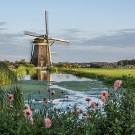 Molen Stompwijk van Yvonne van der Meij