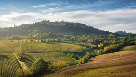 Montepulciano and San Biagio Church Over Vineyards by Stefano Orazzini