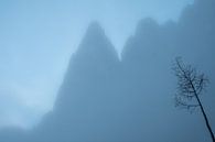Berggipfel im Nebel von John Faber Miniaturansicht