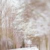 Winter wonderland | Linschoten | Pastel van Gabry Zijlstra
