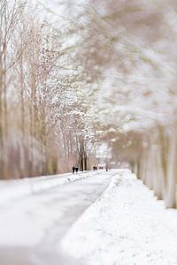 Winterwunderland | Linschoten | Pastell