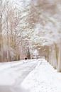 Winterwunderland | Linschoten | Pastell von Gabry Zijlstra Miniaturansicht