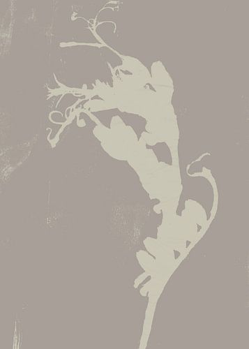Abstract botanisch. Plant in wit en licht taupe.