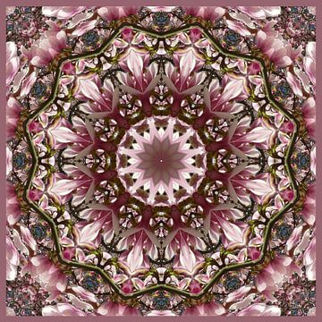 Frühlingsblüten, pink spring blossoms 1.2, Nature Mandala  von RaSch-BS_Design