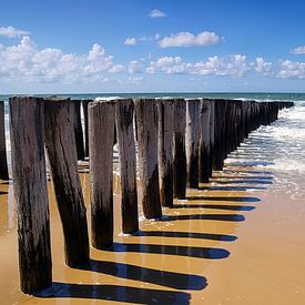 Strand Domburg van 7Horses Photography