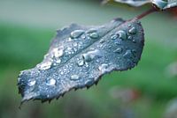 www.qkphotography.com