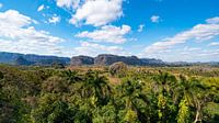 Vinales Tal Kuba