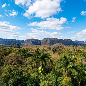 Vinales Vallei Cuba van Urlaubswelt