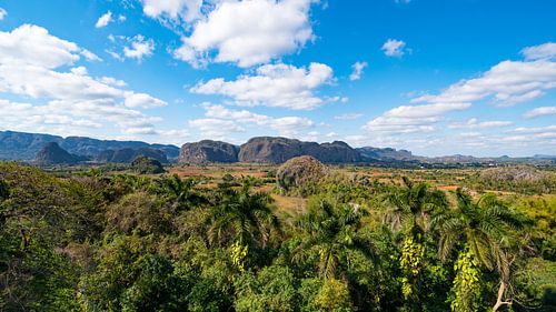 Vinales Valley Cuba