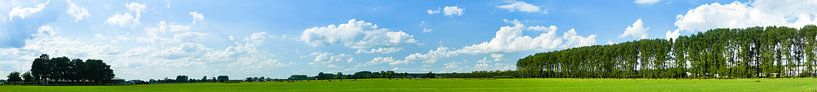 panorama by ton vogels