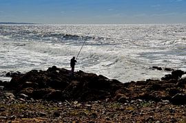 Fischer mit Hintergrundbeleuchtung von Frank's Awesome Travels