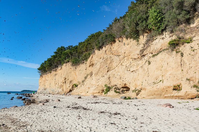Schwalben am Naturstrand Lobbe von GH Foto & Artdesign
