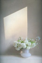 Morning light by Diane Cruysberghs