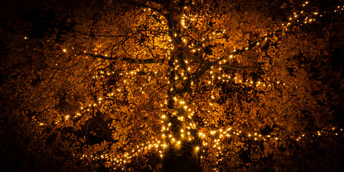 Lichtjesboom Buren.