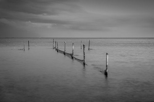 Fishing nets