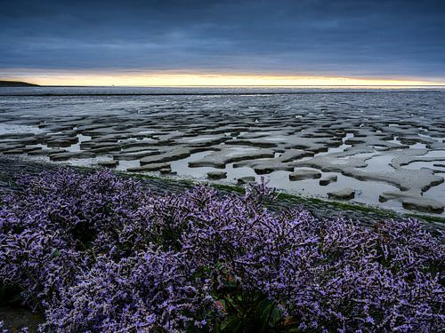 Waddenzee bij Koehool
