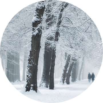 Wandelen in winterwonderland