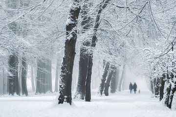 Wandelen in winterwonderland