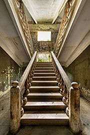 Pionier van Heiko Probst