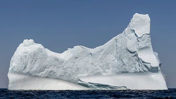 IJsberg voor de kust van Twillingate Newfoundland van Menno Schaefer