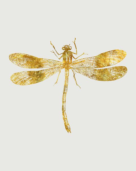 Golden Dragonfly by Patrycja Polechonska