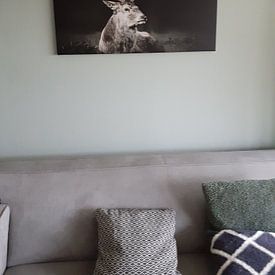 Photo de nos clients: Cerf au crépuscule par Ariane Adam, sur toile