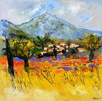 Provence 7722