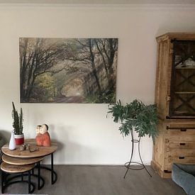 Photo de nos clients: Des rayons de soleil qui jouent avec les arbres par Karla Leeftink, sur toile