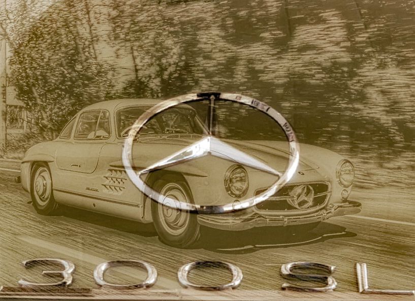 Gullwing Limited Edition van Truckpowerr