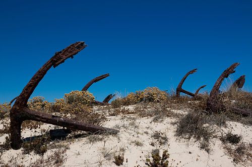 Anchor Cemetery Portugal