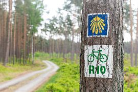 EuroVelo 10 Baltic Sea Route, Poland by Richard Wareham