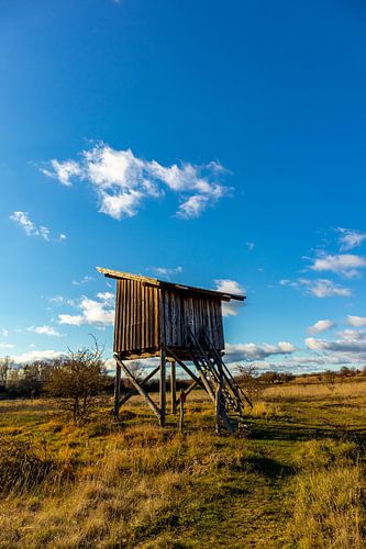 Wandeling door de prachtige Hainich Vallei