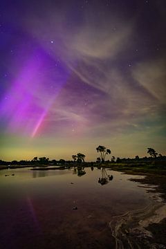 Noorderlicht in de Drunense Duinen van Stef Wingens