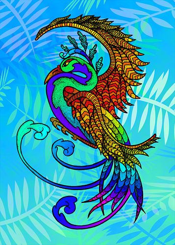 Paradise Bird