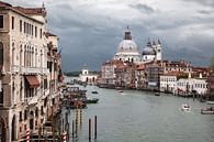 Venice by Wim Verhoeve thumbnail