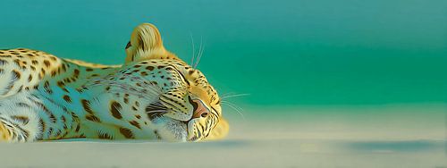 Tranquillity on the Beach | Sleeping Leopard