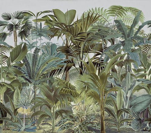 In the tropical rainforest by Andrea Haase