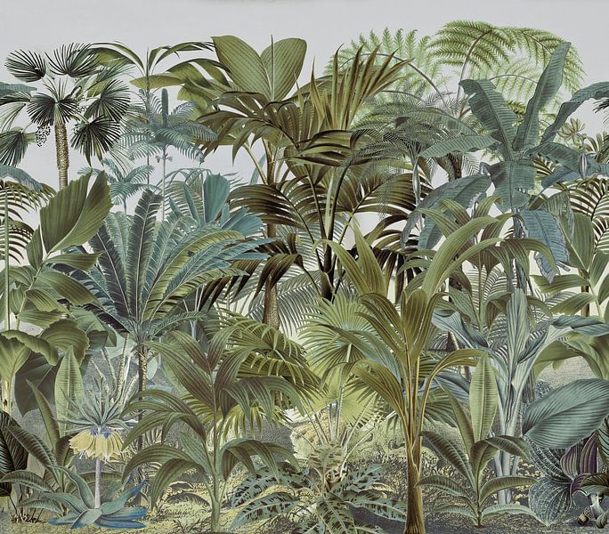 Dans la forêt tropicale par Andrea Haase
