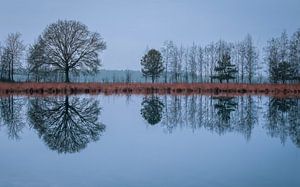 Huis Ter Heide Tilburg - Loon Op Zand